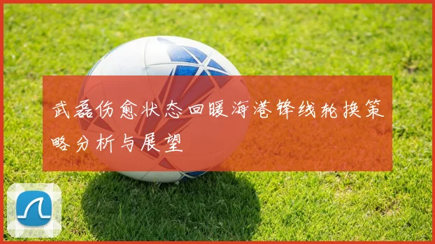武磊伤愈状态回暖海港锋线轮换策略分析与展望