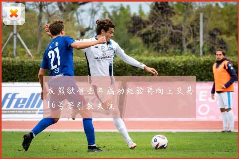 灰熊欲借去年成功经验再向上交易16号签引发关注